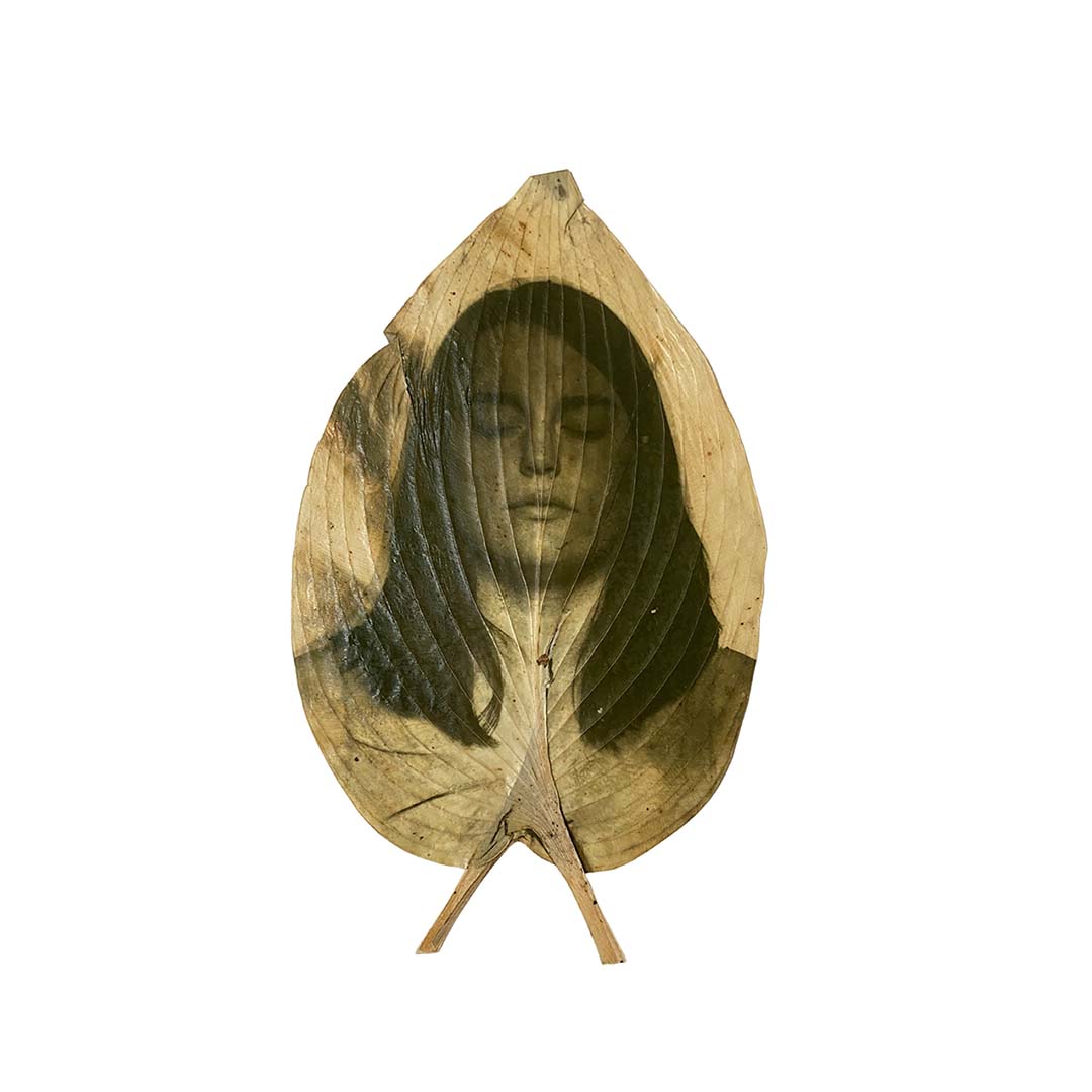 A leaf with a woman's face on it.